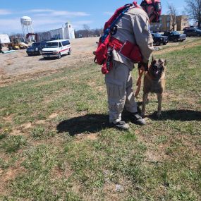 Bild von Camp Canine Elite Dogs - Training, Boarding & Grooming
