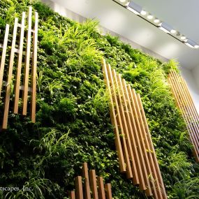 Bild von Interior Plantscapes