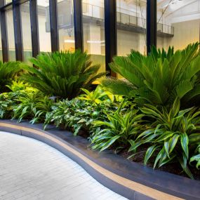 Bild von Interior Plantscapes