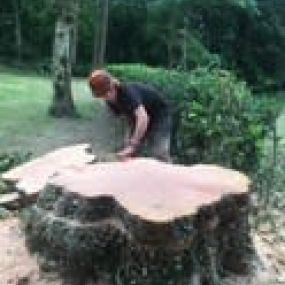 Bild von Zion Tree Care