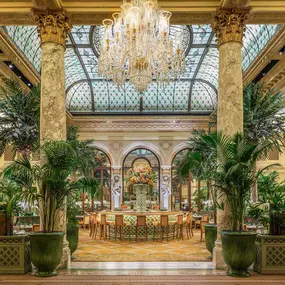 Bild von THE PALM COURT