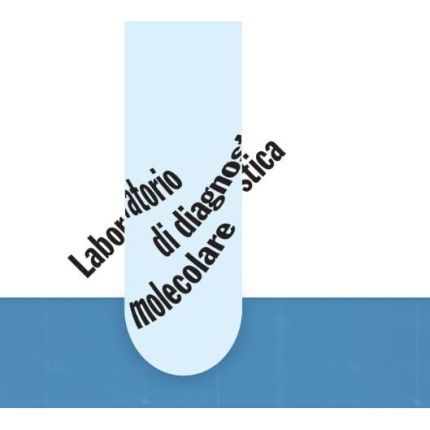 Logótipo de LDM Laboratorio di Diagnostica Molecolare