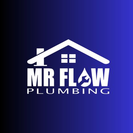 Logo from Mr Flow Plumbing