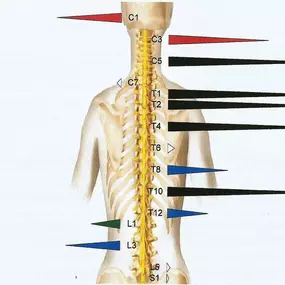 Bild von Float und Chiro Praxis Meersburg