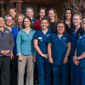The caring & experienced team at VCA Valley Oak Veterinary Center