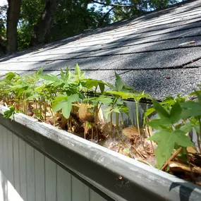 Gutter Leaf Guards Duxbury