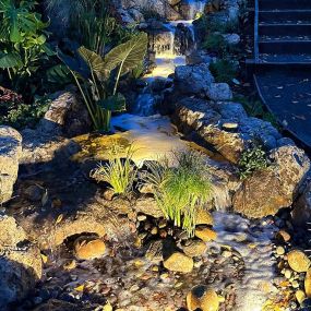 Bild von DreamScapes Water Features & Landscape