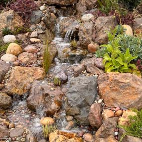 Bild von DreamScapes Water Features & Landscape