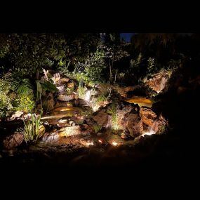 Bild von DreamScapes Water Features & Landscape