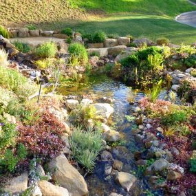 Bild von DreamScapes Water Features & Landscape