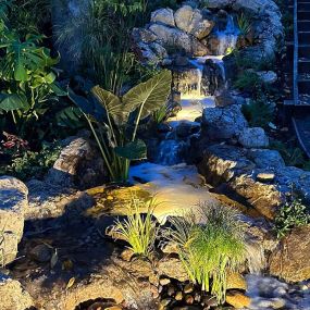 Bild von DreamScapes Water Features & Landscape