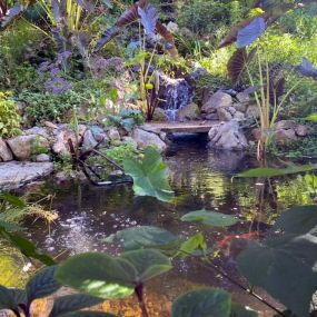 Bild von DreamScapes Water Features & Landscape