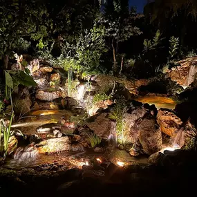 Bild von DreamScapes Water Features & Landscape