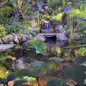 Bild von DreamScapes Water Features & Landscape