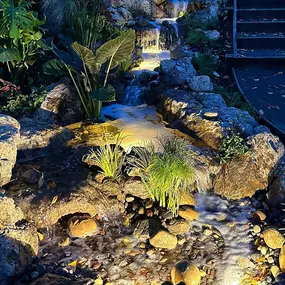 Bild von DreamScapes Water Features & Landscape