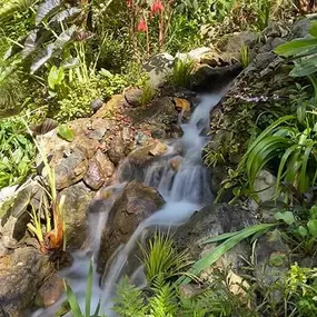 Bild von DreamScapes Water Features & Landscape