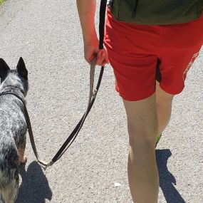 Bild von Mensch Und Hund Zentrum