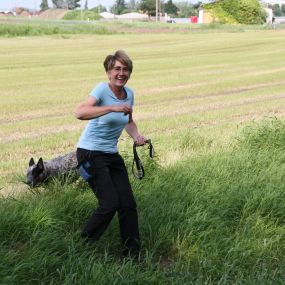 Bild von Mensch Und Hund Zentrum