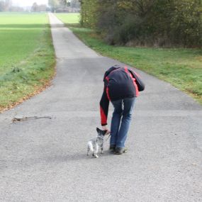 Bild von Mensch Und Hund Zentrum