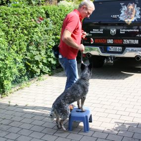 Bild von Mensch Und Hund Zentrum