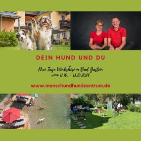 Bild von Mensch Und Hund Zentrum