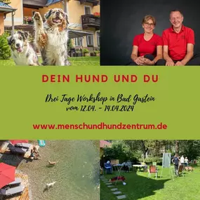 Bild von Mensch Und Hund Zentrum