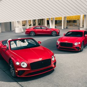 Bild von Bentley Palm Beach