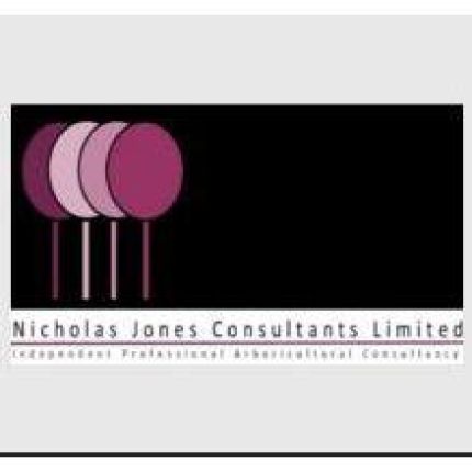 Logo von Nicholas Jones Consultants Limited