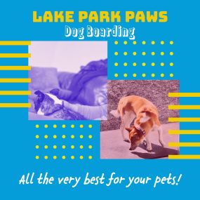 Bild von Lake Park Paws