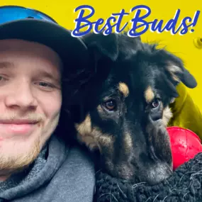 Bild von Lake Park Paws