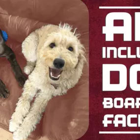 Bild von Lake Park Paws