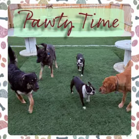 Bild von Lake Park Paws