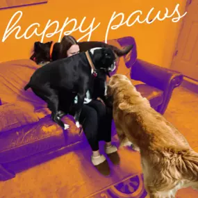 Bild von Lake Park Paws