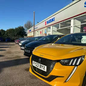 Bild von Suzuki Peterborough