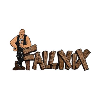 Logo da Fallnix - Daniel Büscher Dachdeckerei