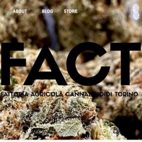 Bild von FACT FARM - Fattoria Agricola Cannabinoidi Torino