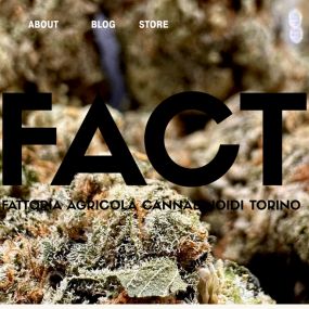 Bild von FACT FARM CBD - Produttore dal 2018 di Canapa Legale - CBD Shop Torino