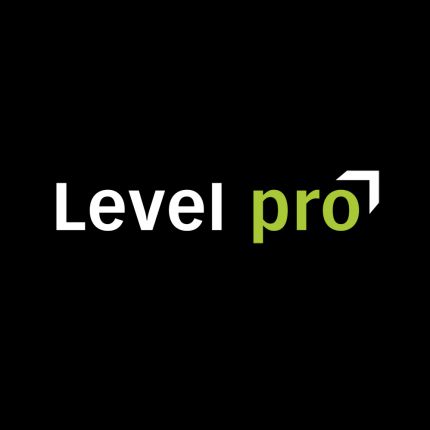 Logo fra Internetagentur - Level pro