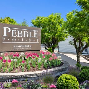 Bild von Pebble Point Apartments