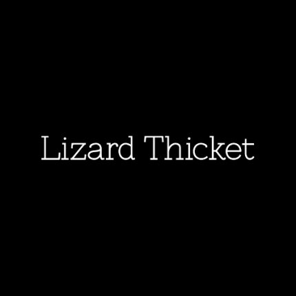 Logo da Lizard Thicket Boutique