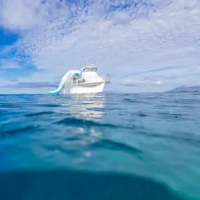 Bild von Maui Snorkeling