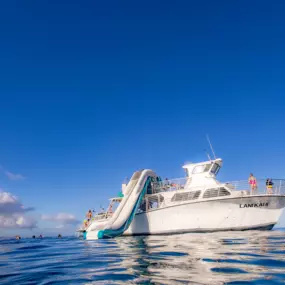 Bild von Maui Snorkeling