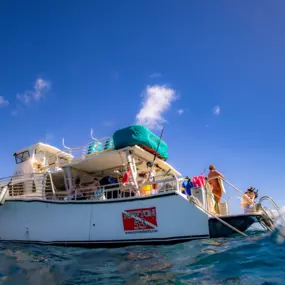 Bild von Maui Snorkeling