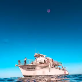 Bild von Maui Snorkeling