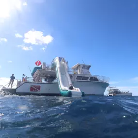 Bild von Maui Snorkeling