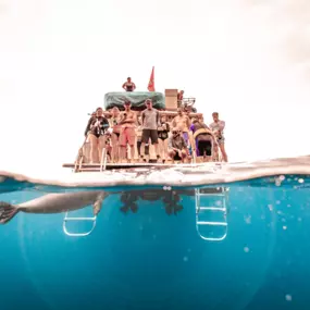 Bild von Maui Snorkeling