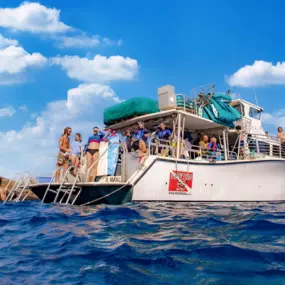 Maui Snorkeling Private Charters