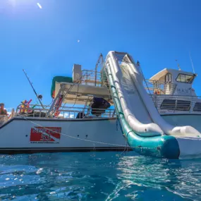 Bild von Maui Snorkeling