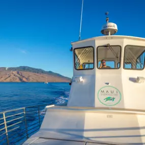 Bild von Maui Snorkeling