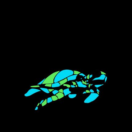 Logo da Maui Snorkeling